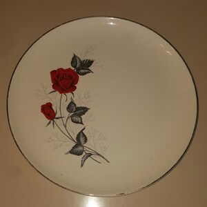 Moulin Rouge Versatile Dinner Plates by Taylor, Smith and Taylor - FREE SHIPPING