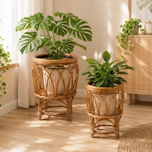Peut inclure: Deux supports de plantes ronds en rotin avec des pieds arqués et des bases circulaires, chacun contenant un pot en céramique blanche cannelée. Le plus grand support contient un Monstera aux larges feuilles fendues, le plus petit un lys de paix.