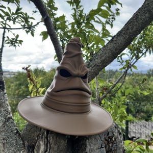 May include: A brown, pointed hat with a wide brim, featuring a sculpted, weathered texture that mimics a face with deep, creased folds forming eyes and a mouth. The hat has a tall, conical crown that curves slightly at the top, resembling aged leather.