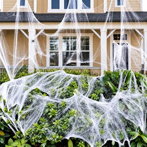May include: White synthetic spider web material draped over green shrubbery and the front porch of a house. Several small black plastic spiders are attached to the web strands, which extend from the bushes up to the porch pillars and roof.