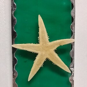 Real Starfish set onto Stained Glass image 5