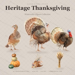 Op de afbeelding: Een digitale aquarel clipart collectie getiteld Heritage Thanksgiving met drie kalkoenen in bruintinten, een stapel van vier pompoenen, een hoorn des overvloeds gevuld met herfstoogstitems en een bundel tarwestengels op een lichte achtergrond.