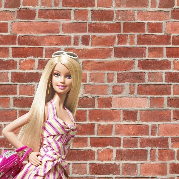 Rustic Bricks 1:6 Scale Barbie Dollhouse Wallpaper Digital Download