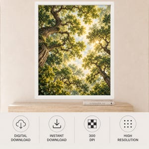 May include: A framed wall art print featuring a low-angle view of a dense forest canopy with sunlight filtering through green leaves and textured tree trunks. The image displays a bright sky visible between the branches of the tall, mature trees.