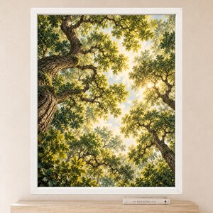 May include: A framed wall art print featuring a low-angle view of a dense forest canopy with sunlight filtering through green leaves and textured tree trunks. The image captures the intricate branches of tall trees reaching toward a bright sky.