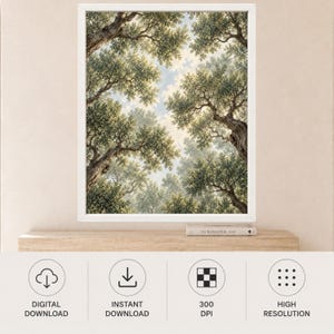 Stampa di un uliveto mediterraneo, prospettiva verso l'alto, paesaggio botanico verdeggiante (download digitale) immagine 10