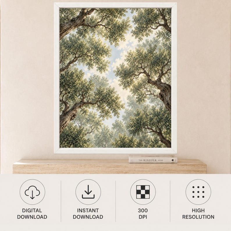 Stampa di un uliveto mediterraneo, prospettiva verso l'alto, paesaggio botanico verdeggiante (download digitale) immagine 10