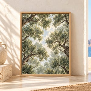 Framed olive tree wall art showing an upward view through mature twisting olive trunks and layered sage green branches surrounding a softly lit patch of sky.