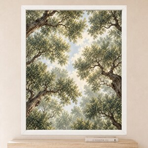 Stampa di un uliveto mediterraneo, prospettiva verso l'alto, paesaggio botanico verdeggiante (download digitale) immagine 2