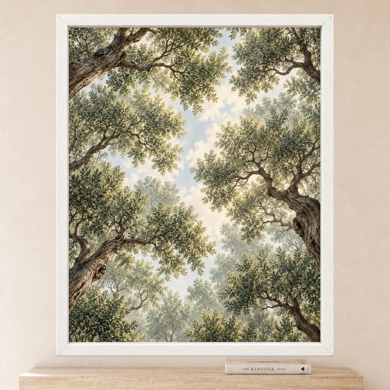 Stampa di un uliveto mediterraneo, prospettiva verso l'alto, paesaggio botanico verdeggiante (download digitale) immagine 2