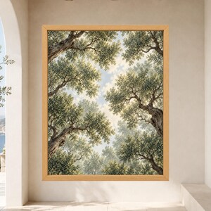 Stampa di un uliveto mediterraneo, prospettiva verso l'alto, paesaggio botanico verdeggiante (download digitale) immagine 8