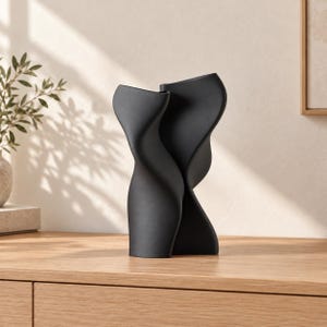 May include: A matte black ceramic vase featuring a sculptural, abstract form with two interconnected, undulating vertical sections that create a fluid, organic silhouette with a smooth, solid-colored surface and two distinct openings at the top.