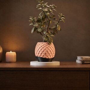 Pode incluir: Uma pequena planta de jade verde num vaso de dois tons. A parte superior do vaso apresenta um padrão de treliça texturizado em rosa claro, enquanto a base é preta, lisa e sólida. A planta tem vários caules e folhas arredondadas.