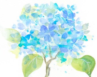 Giclee Art Print. Blue Hydrangea. Original Watercolor Flower Painting Art Print -- 8.5"x11"  For botanical art collectors.