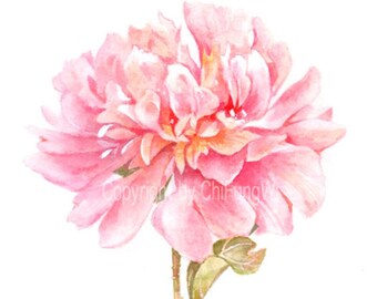Giclee Art Print. Red Peony. Original Watercolor Flower Painting Art Print -- 8.5"x11"  For botanical art collectors.