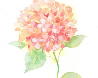 Giclee Art Print. Orange Yellow Hydrangea. Original Watercolor Flower Painting Art Print -- 8.5"x11"  For botanical art collectors.