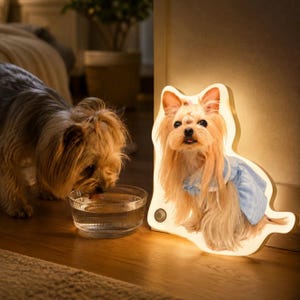Custom Pet Night Light,  Personalized Dog Cat Portrait Lamp, Wall Mount & Keychain Gift Set