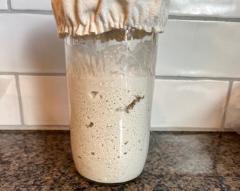 Masa madre deshidratada sin gluten