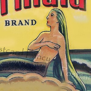 MERJUNGFRAU Magie, Vintage Sardinen Label, INSTANT Digital Download