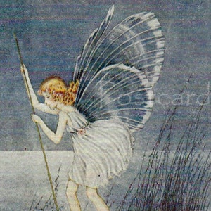 May include: Vintage illustration of a fairy standing on a large, white seashell in water. The fairy has blonde hair, a white dress, and large, translucent wings. The background is a muted blue with reeds.