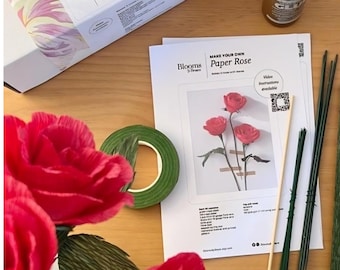 Könnte beinhalten: Ein DIY-Papierrosen-Bastelset mit einer weißen Schachtel und einer Anleitung mit der Aufschrift Make Your Own Paper Rose, einer Flasche Kleber, grünem Blumenband, dünnen Drahtstielen, einem Holzstab und mehreren fertigen, leuchtend rosa Krepppapierrosen.