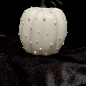 May include: A white pumpkin decoration featuring a smooth matte finish and numerous small, round, white pearl-like beads attached to its surface. The pumpkin has a dark, curved stem at the top and a classic ribbed shape with distinct vertical segments.