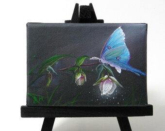 2.5x3.5 Luna Moth Fairy Lantern Giclee PRINT on mini Canvas Frame by J. Mandrick