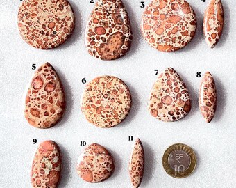 Puede incluir: Once piedras preciosas de jaspe leopardo pulidas en varias formas, incluyendo círculos, gotas y cortes marquesa, cada una con un patrón moteado de color canela y marrón rojizo. Se incluye una moneda de 10 rupias dorada.