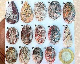Puede incluir: Una colección de catorce piedras preciosas pulidas en forma ovalada y de lágrima dispuestas en una tarjeta blanca, numeradas del 1 al 14, con patrones y colores variados, junto a una moneda de 10 rupias para escala.