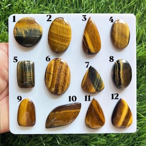 May include: Twelve polished tiger's eye gemstones arranged on a white display card, numbered 1 through 12. Each stone features distinct golden-brown and dark brown chatoyant banding in various shapes including oval, teardrop, and rectangular forms.