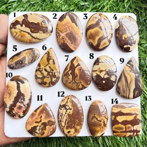 May include: A collection of fourteen polished brown and tan patterned cabochons arranged on a white board, numbered one through fourteen. Each stone features unique swirling, banded, or mottled earthy color variations with a smooth, glossy finish.