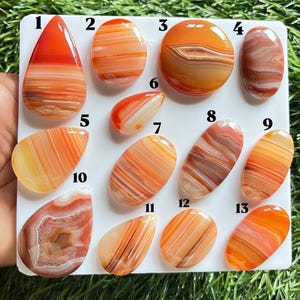 May include: Thirteen polished, smooth, orange and red banded agate cabochons arranged on a white display board. Each stone is numbered from 1 to 13 and features unique, natural horizontal or concentric striped patterns in shades of amber and rust.