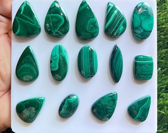 Puede incluir: Una colección de catorce cabujones de malaquita pulidos dispuestos sobre un tablero de exhibición cuadrado blanco. Cada piedra preciosa presenta distintos patrones de bandas de color verde oscuro y claro en varias formas, incluyendo gota, óvalo y rectángulo.
