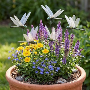 Può includere: Un vaso in terracotta riempito con fiori di salvia viola, coreopsis gialla e lobelia blu. Quattro decorazioni a forma di libellula con ali traslucide e corpi verde metallizzato sono montate su sottili steli metallici tra le piante.