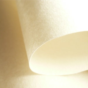 Vilene Decovil 1 LIGHT iron on stabiliser fabric stiffener - leather like qualities, great for bag making 90cm Wide - Sold per metre or 50cm