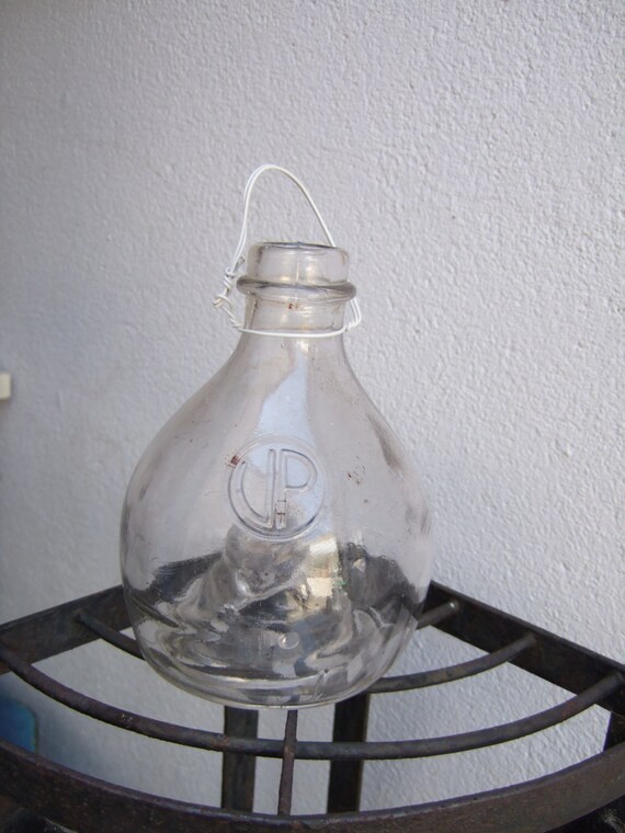 Items similar to Vintage French Glass Fly Catchers. early 1900s Marked VP . on Etsy