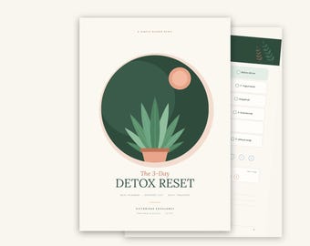 3 Day Detox Plan Printable, Detox Reset Meal Planner with Grocery List, Recipes, Swap Guide & Daily Tracker PDF