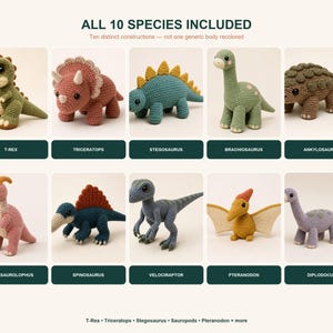 Overview page for the Dinosaur Crochet Pattern Bundle showing all 10 included species in labeled thumbnail photos. Each finished dinosaur is displayed separately, making this amigurumi crochet pattern bundle easy to preview.