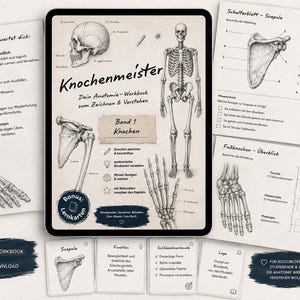 Könnte beinhalten: Ein digitales Anatomie-Arbeitsbuch mit dem Titel Knochenmeister, das eine Illustration eines vollständigen menschlichen Skeletts, einen Schädel, ein Schulterblatt und Handknochen zeigt. Das Arbeitsbuch enthält Seiten zum Beschriften.