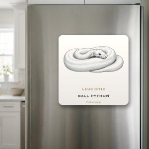 Leucistic Ball Python Fridge Magnet, Vintage Reptile Decor, Snake Owner Gift