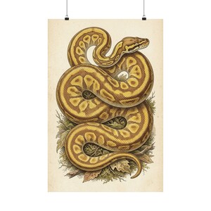 Peut inclure: Une affiche murale verticale présentant une illustration détaillée d'un serpent enroulé aux écailles à motifs jaunes et bruns. Le serpent est posé sur un amas de feuilles brunes et de mousse verte sur un fond de papier beige clair texturé.