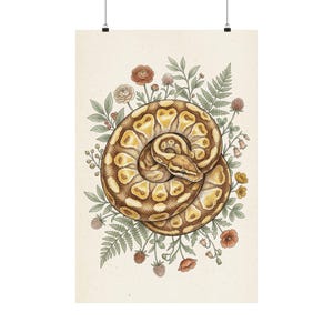 Ball Python Print, Vintage Naturalist Snake Wall Art, Reptile Decor Poster, Snake Lover Gift, Herpetology Gift, Terrarium Room Decor