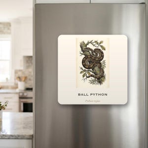 Aimant de réfrigérateur vintage Python royal, cadeau pour les amoureux des reptiles