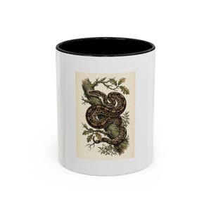 Vintage Naturalist Snake Mug, Ball Python Coffee Cup, Reptile Lover Gift