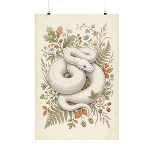 Vintage Ball Python Print, Naturalist Snake Wall Art, Reptile Decor Poster (Museum Quality)