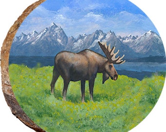 Moose in the Summer -