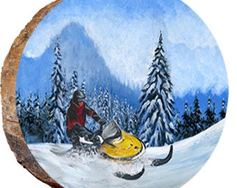 Snowmobiler Enjoying a Winter Wonderland - DPS177