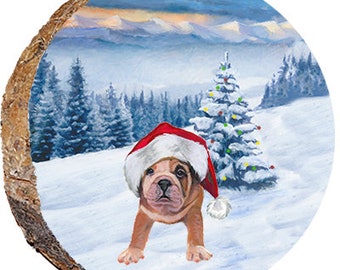 Bulldog Puppy with Santa Hat DX242