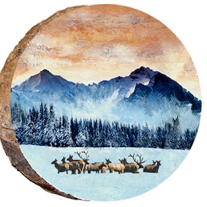 Herd of Elk in Wintry Snowy Mountains - DAE335