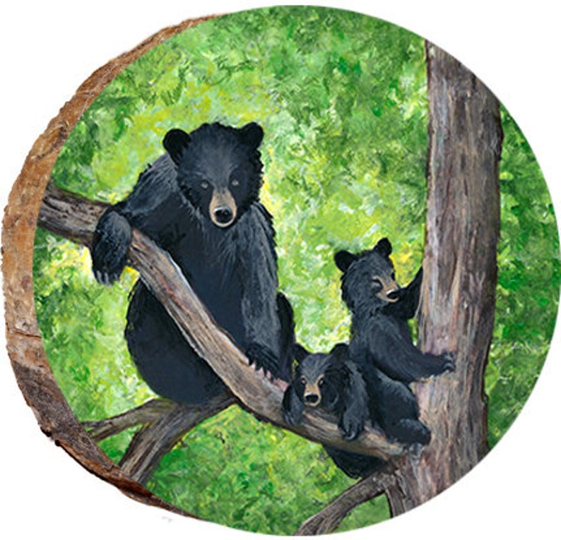 3 Bears in a Tree DAB004 image 1